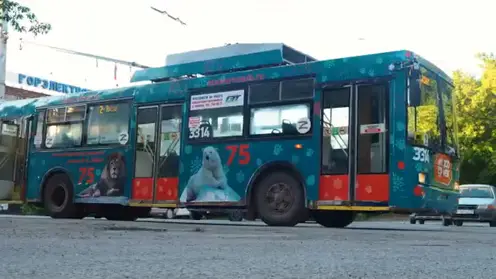 Троллейбусы с львами и медведями разъезжают по улицам Новосибирска