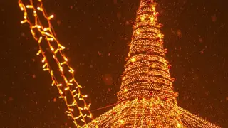 С 25 по 27 декабря во всех районах Красноярска зажгутся новогодние ёлки