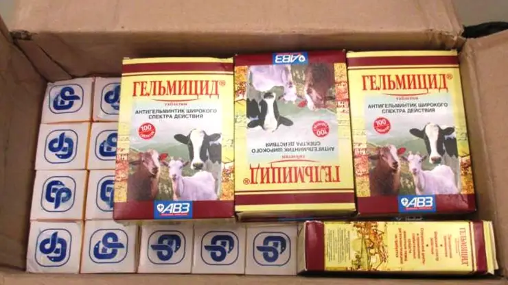 Около 10 кг ветеринарных препаратов пыталась нелегально ввезти в Красноярск 61-летняя пассажирка