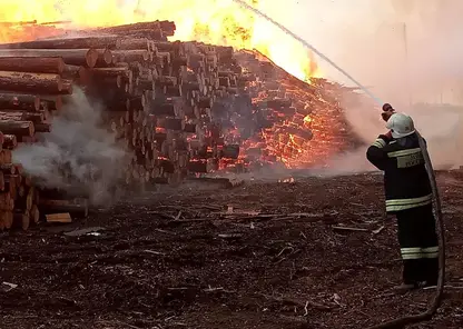 56 жителей Красноярского края спасли сотрудники МЧС при тушении пожаров за минувшую неделю