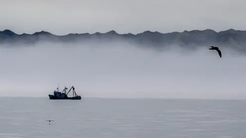 14 рыбаков оказались окружены водой из-за ледохода в Якутии