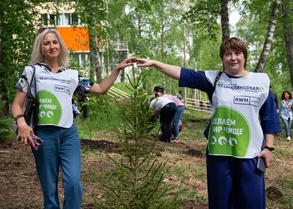 Леса и сады будущего: в Красноярске началось обновление Березовой рощи СФУ
