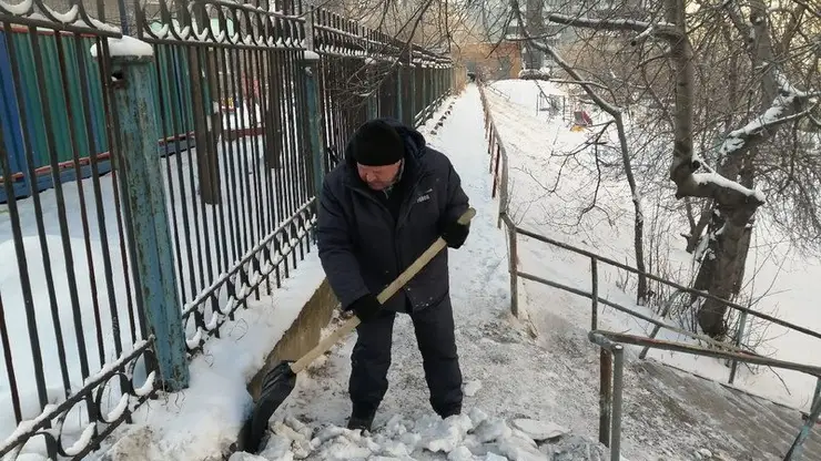 В Ленинском районе за год спилили 66 аварийных деревьев