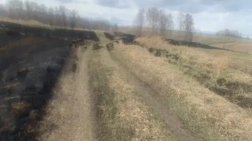 12-летний ребенок из Красноярского края хотел узнать, как горит сухая трава и поджег ее