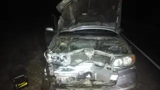 В Большемуртинском районе в ДТП погибли два пассажира мотоблока
