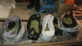 В Абанском районе изъяли килограмм наркотиков
