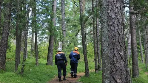 С начала осени в лесах Красноярского края потерялись 24 человека