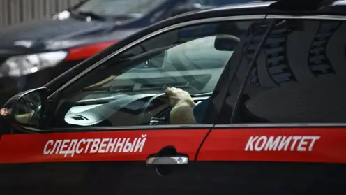 В Красноярском крае экс-начальник отдела ветеринарии Большеулуйского района подозревается во взяточничестве
