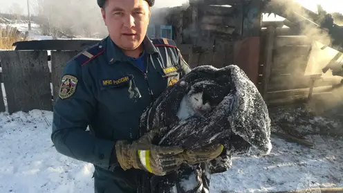 В Козульском районе пожарные спасли кота