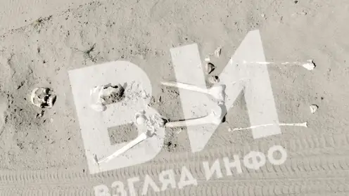 В Минусинском районе отдыхающие нашли на пляже костные останки