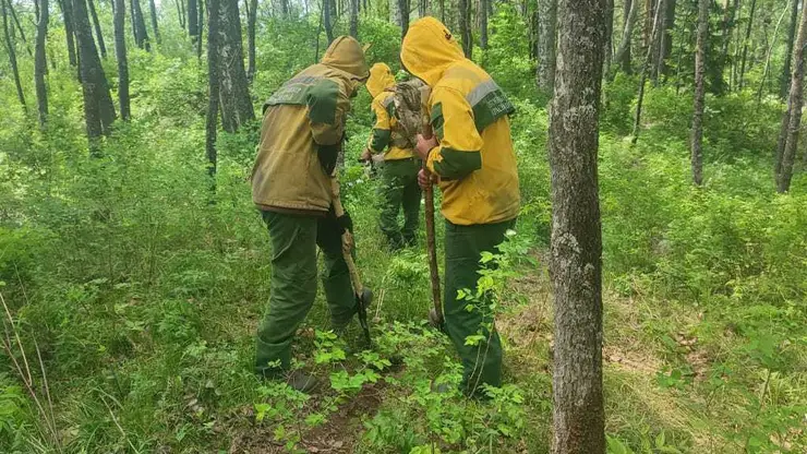 На тушение лесного пожара в окрестностях Дивногорска отправили ещё 30 лесных пожарных