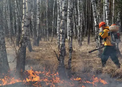 50 огнеборцев из Красноярского края направили на тушение лесных пожаров в Тыве