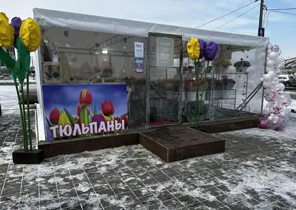 Обновленный «Цветочный квартал» заполнили тюльпаны