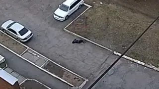 В Красноярске горожанин упал и умер прямо на улице