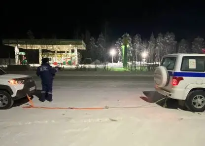 В Северо-Енисейском районе госавтоинспекторы помогли замерзающему на трассе водителю
