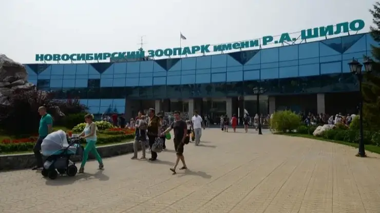 Новосибирский зоопарк купит пуму и кенгуру