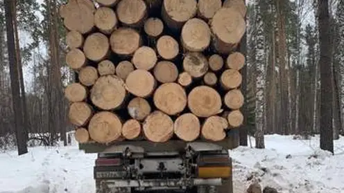 В Красноярском крае возбудили уголовное дело за контрабанду леса на сумму свыше 3,2 млн рублей