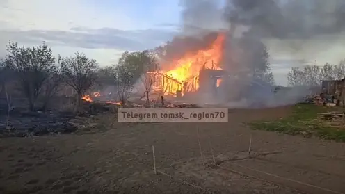 В Томске на острове Пушкарев сгорело более 30 строений