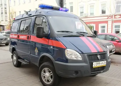 В Красноярске возбуждено уголовное дело по факту ухода 6-летнего ребёнка из прогимназии № 131