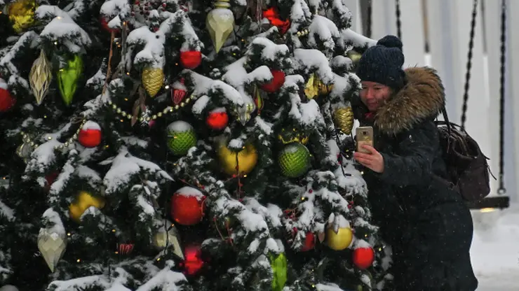 В Томске приступили к установке новогодней елки
