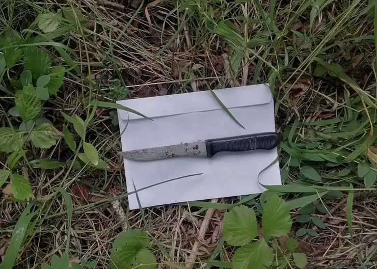 В Дивногорске следователи нашли нож на месте убийства 16-летней девушки