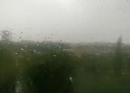 В Красноярске рабочая неделя будет дождливой 