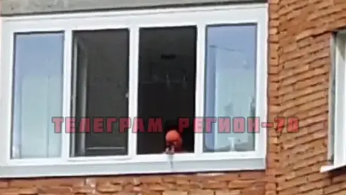 Маленький Человек-паук обстрелял прохожих в Томске
