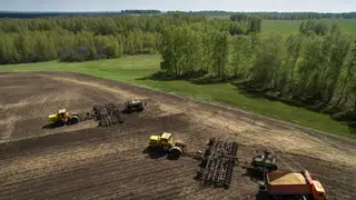 Из Красноярского края будут поставлять семена льна в Китай
