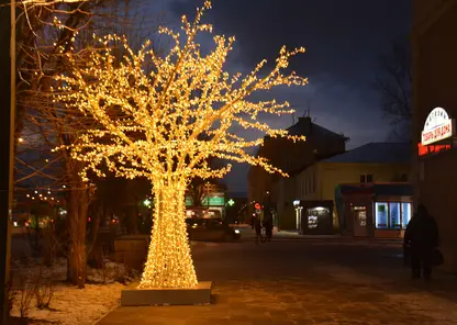В Ленинском районе Красноярска появились световые деревья