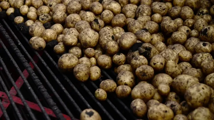 Житель Монголии пытался вывезти из Бурятии 280 кг демаркированного картофеля