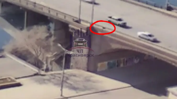 В Красноярске собака спрыгнула с моста