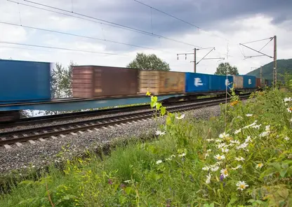 Перевозки контейнеров на Красноярской железной дороге в первом полугодии выросли почти на 6%