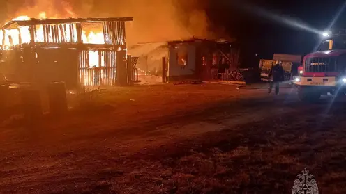 В Рыбинском районе Красноярского края при пожаре погиб человек