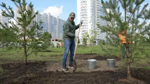В Красноярске в микрорайоне Тихие Зори состоялась масштабная экологическая акция