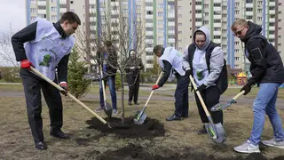 Михаил Котюков в «Яблоневом саду» высадил деревья в память о героях Великой Отечественной войны