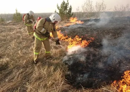 Неизвестные подожгли сухую траву в Минусинском районе