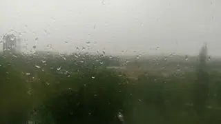 В Красноярске рабочая неделя будет дождливой 
