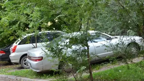 На 1,6 млн рублей оштрафовали водителей за парковку на газонах в Свердловском районе