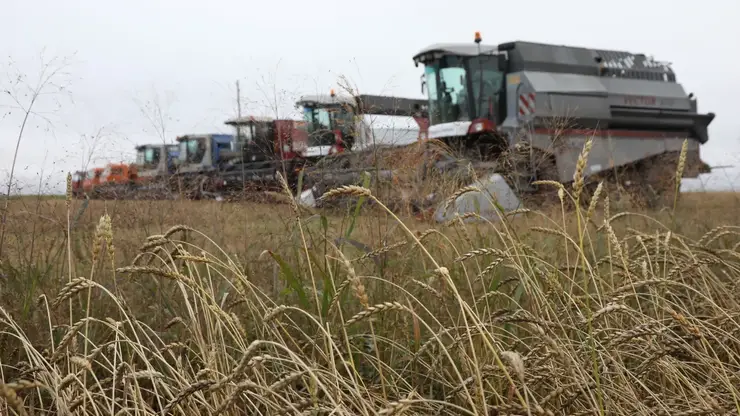 Более 2 млн тонн зерна собрали аграрии Красноярского края
