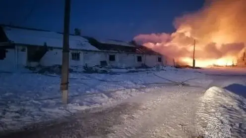 В Канском районе при пожаре в телятнике погибли 88 телят