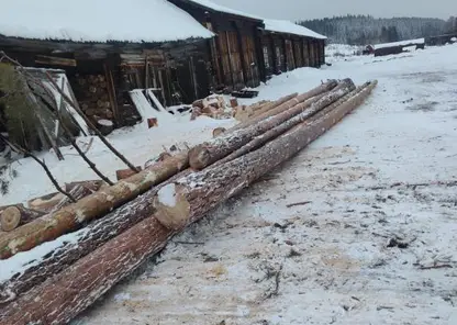 В Кежемском районе вырубили деревья на 450 тыс. рублей