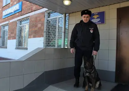 Полицейская собака Вегас помогла раскрыть кражу в Красноярском крае