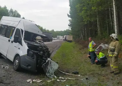 Водитель микроавтобуса пострадал при лобовом столкновении с грузовиком в Красноярском крае