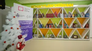 В Новосибирской области открыли двадцать девятую модельную библиотеку