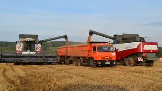 Аграриям Красноярского края помогут обновить технику