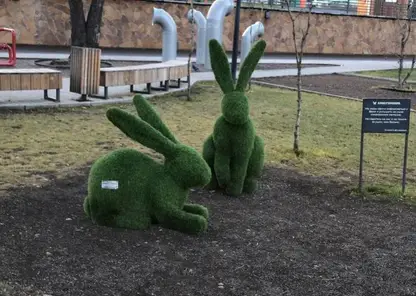 В Красноярске снова починили ухо зайцу на Ярыгинской набережной