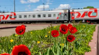 Красноярская железная дорога присоединилась к Всероссийской экологической акции «Вода России»