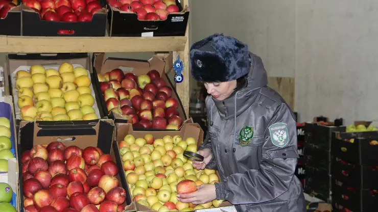 В Красноярский край с начала этого года ввезли более 20 тысяч тонн импортных фруктов и овощей