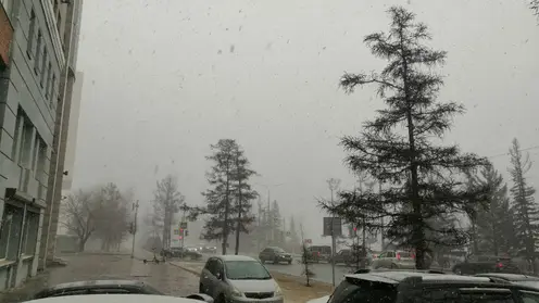 Мокрый снег с дождём и +11 градусов ожидаются в Красноярске 3 мая