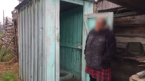 В Красноярском крае в сарае нашли мёртвого младенца, рождённого в туалете